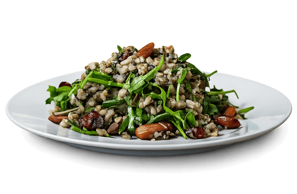 3 grain salad: quinoa/wild rice/farro/dried cranberries/toasted almonds/baby arugula/sherry vinaigrette